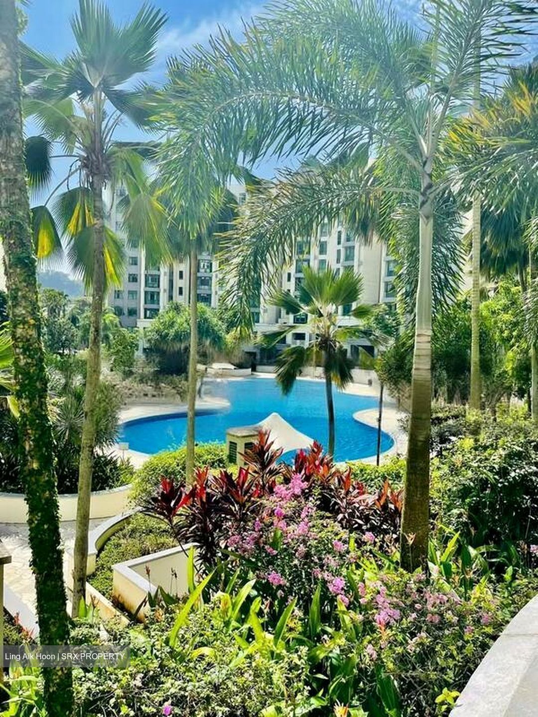 Toh Tuck Road (D21), Condominium #443413591